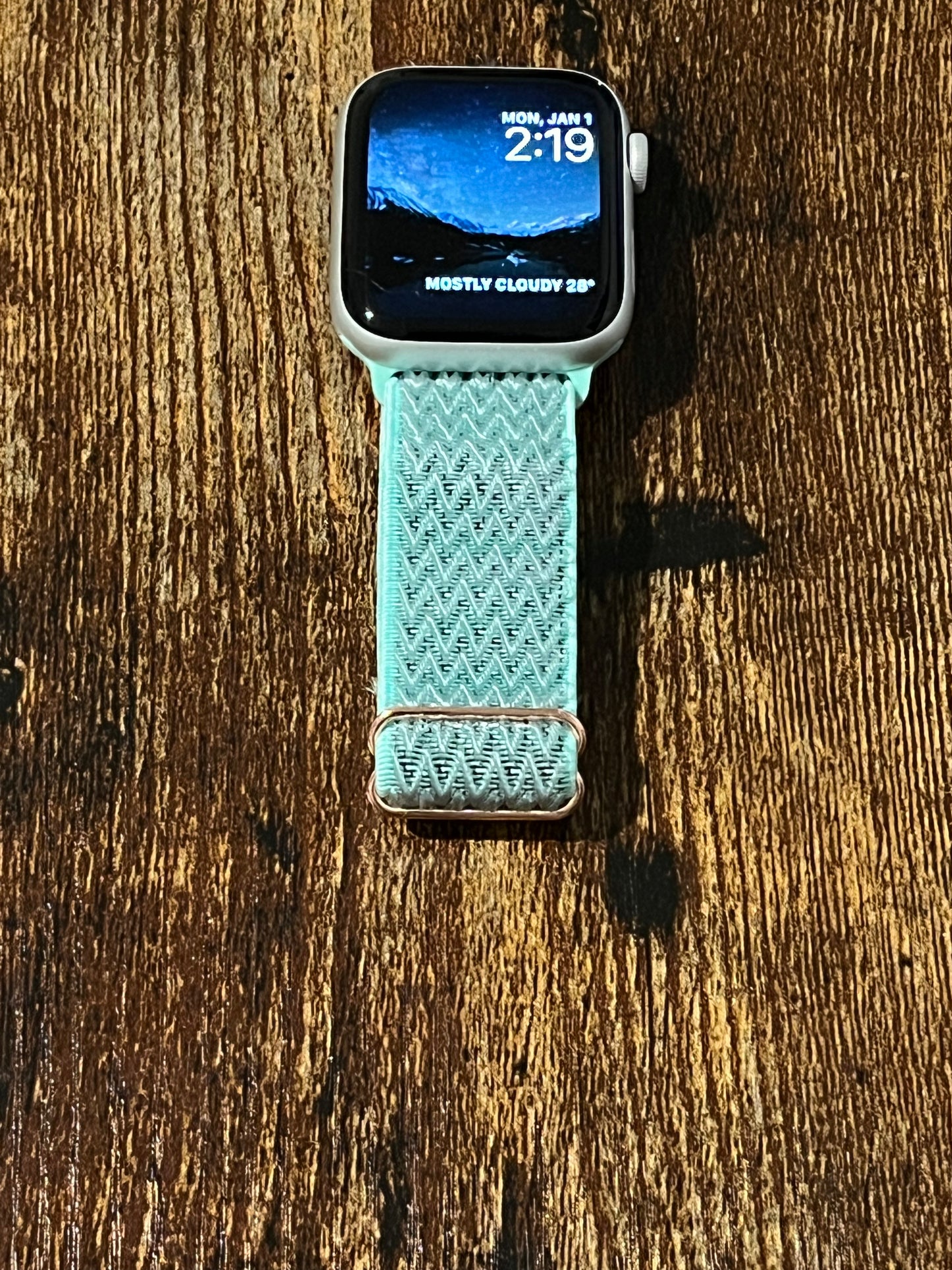 Turquoise Loop Stretch Nylon Band - Turquoise